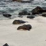 Photo taken by Mark A