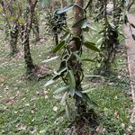 Photo taken by Ben B