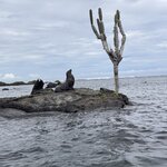 Photo taken by Ben S