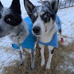 Photo taken by Alison D