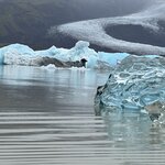 Photo taken by Sara W