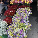 Photo taken by Izabella L