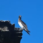 Photo taken by Natascia V