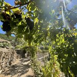 Photo taken by Kaisha S