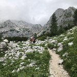 Photo taken by Kelly W