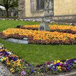 Photo taken by Lynn K