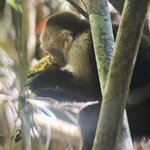 Photo taken by Morton A