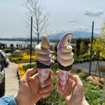 Photo taken by Maddie C