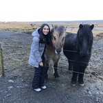 Favorite horses and beauty | Photo taken by Purvish P