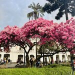 Photo taken by Tara O