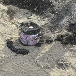 Photo taken by Cathy N