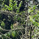 Photo taken by Maggie K