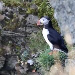 Photo taken by Tim Z