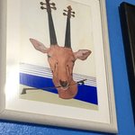 Photo taken by Lisa R