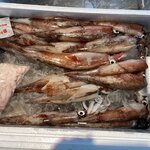 Photo taken by Iain M