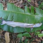 Photo taken by Ciarra N