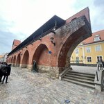 Photo taken by Julie G