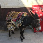 Photo taken by Hilda S