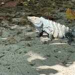 Photo taken by Harshida P