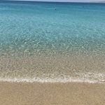 Photo taken by Janelle M