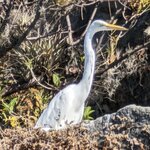 Photo taken by Denise M