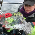 Ice from Lagoon that looked like a fish | Photo taken by Leo T