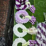 Photo taken by Audrea H