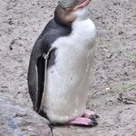 Photo taken by Rand M