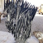 Photo taken by SARMA M