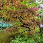 Photo taken by larry s