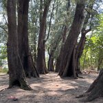 Photo taken by Anil C