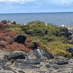 Photo taken by Jennifer A