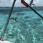 Day at sea with Captain Eric and Jiggy | Photo taken by BRAD K