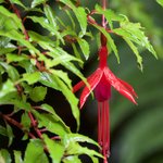 Photo taken by Mariellen S