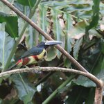 Photo taken by Pat K