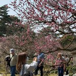 Photo taken by Karen H