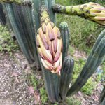 Photo taken by Vicki Lynn M