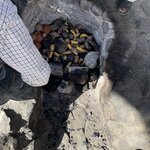 Photo taken by Alpa M