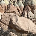 Photo taken by Michael E