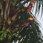 Photo taken by Ram R