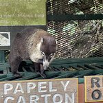 Photo taken by Jacqueline R