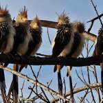 Photo taken by Adriene A