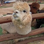 Photo taken by G'nee A