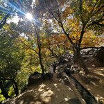 Photo taken by Raelene S