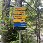 Photo taken by Ronda O