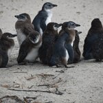 Photo taken by William R