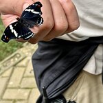 Photo taken by Brian L