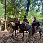 Photo taken by Cheryl E