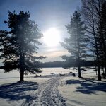 Photo taken by Bianca C