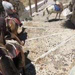 Photo taken by Janelle M